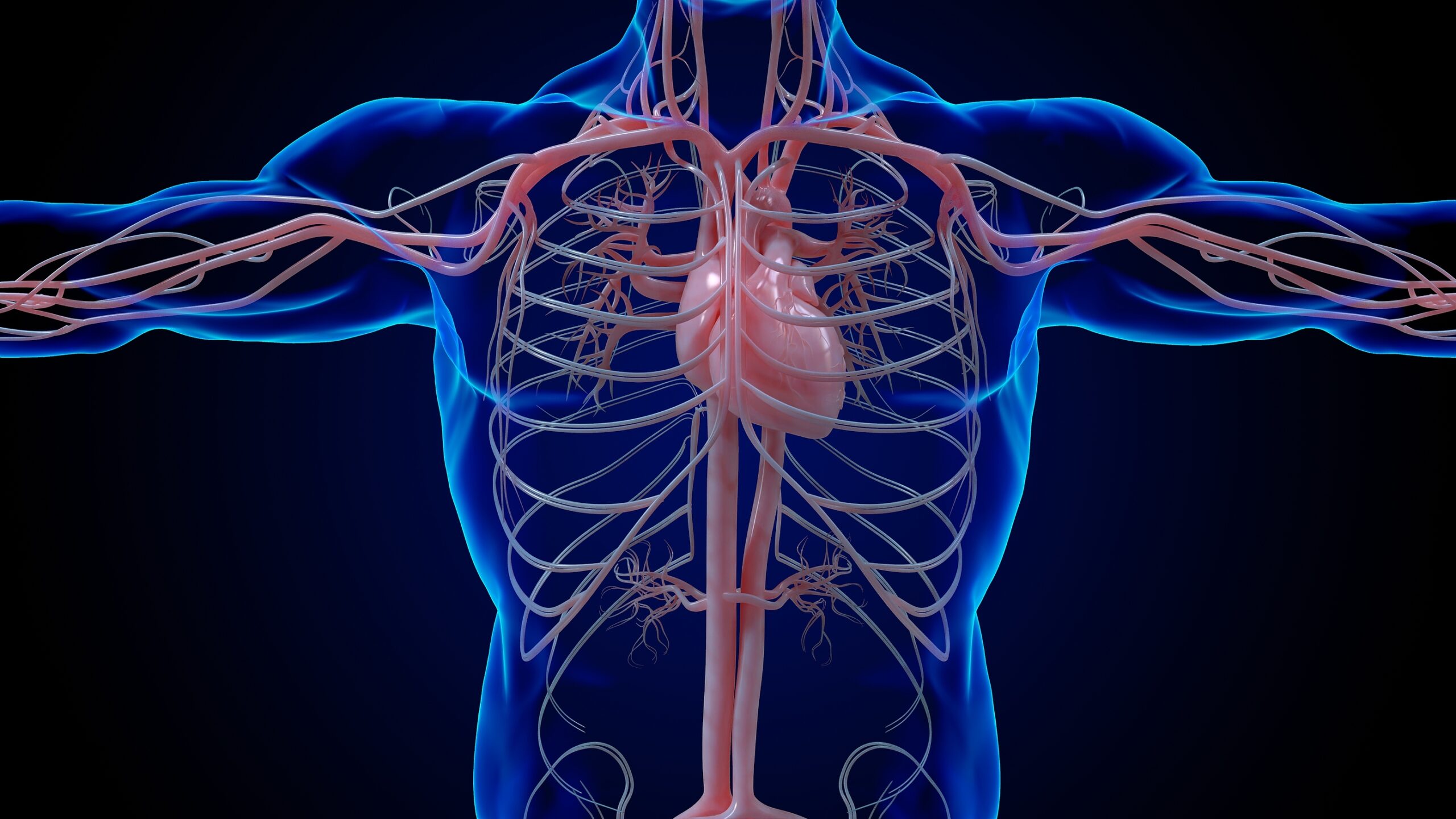 Bard PowerPort Lawsuit: Updates and Settlements (December 2025) | Lawsuit  Legal News