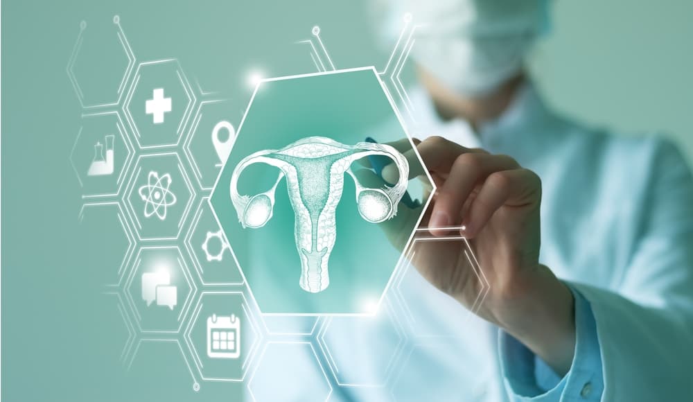 doctor and uterus