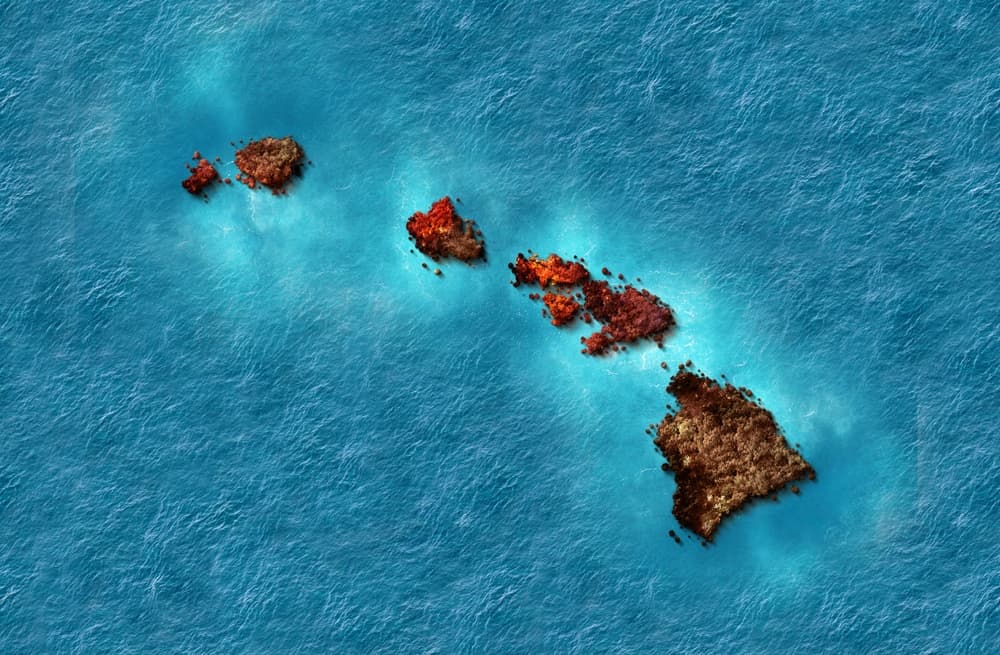 maui islands on fire