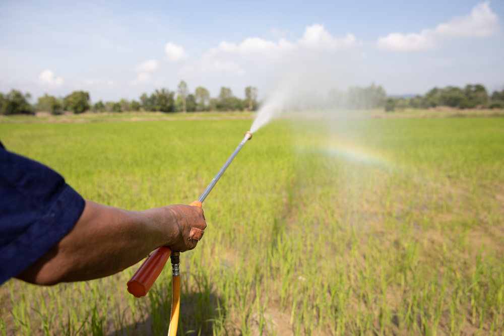 Dacthal weed killer